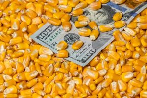 Corn Pricing Aids for Farm to Farm Sales