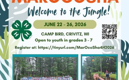 4-H Camp Sign Up!